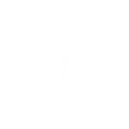 logo-rivvo-clientes-2